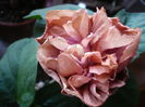 P1250630