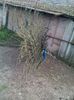 IMG-20160405-WA0001