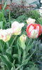 IMG_20160406_183236