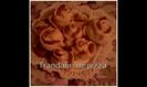 Trandafiri de pizza