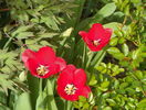 7 apr (29)