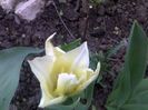 060420162947