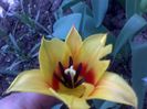 060420162948