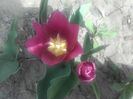 20160406_133751