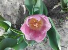 20160407_105613