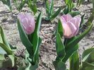 20160407_105704