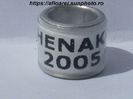 henak 2005