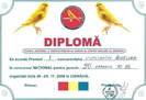 diploma canar