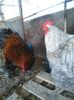 IMG_20160407_151548