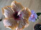P1250651