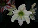 20160406_231455