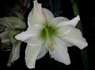 20160406_231524