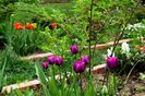 Hidden garden