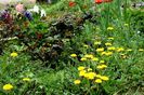 Hidden garden