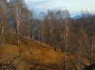 DSC04110