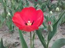 20160408_133055
