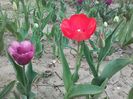 20160408_133058