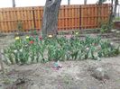 20160408_133032
