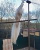 FB_IMG_1460116977033