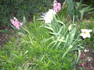 IMGP9159