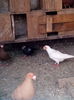 IMG_20160408_175551