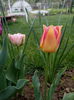 IMG_08042016_143016