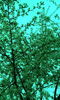 IMG_20160408_190518[1]