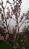 IMG_20160408_190452[1]