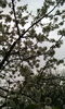 IMG_20160408_190552[1]