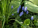 DSCN4176