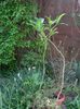 DSCN4177