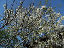 DSCN4179
