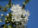 DSCN4184