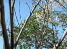 DSCN4185