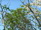 DSCN4186