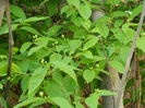 DSCN4192