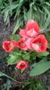 IMG_20160405_171256