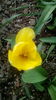 IMG_20160405_171012
