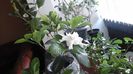 20160407_071959