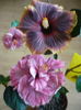 P1250690