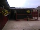 IMG_20160409_162701