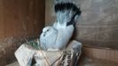 20160409_153101