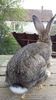 20160409_180930