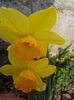 IMG_20160403_101329