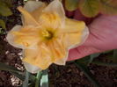 IMG_20160403_101429