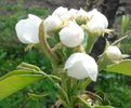 IMG_20160409_210434