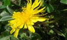 IMG_20160409_210353