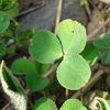 IMG_20160409_210330