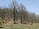 DSC09895