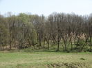 DSC09909